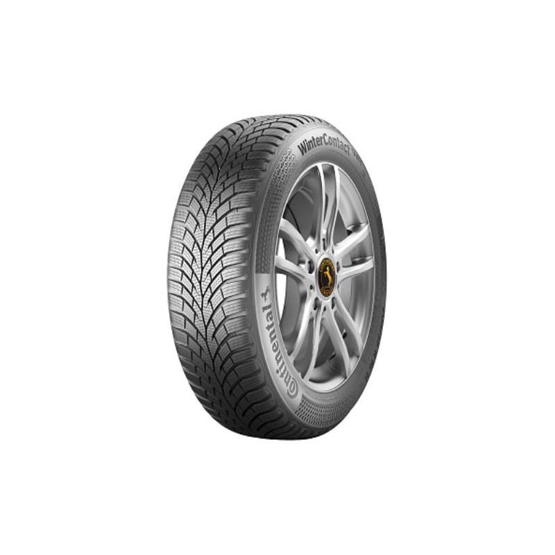 CONTINENTAL TS870 195/45 R17 81H